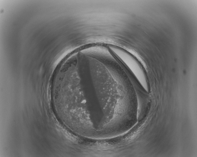 X0000064770983200602171820