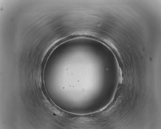 X0000064770984200602171820