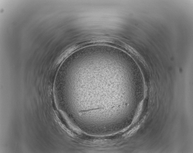 X0000064770985200602171820