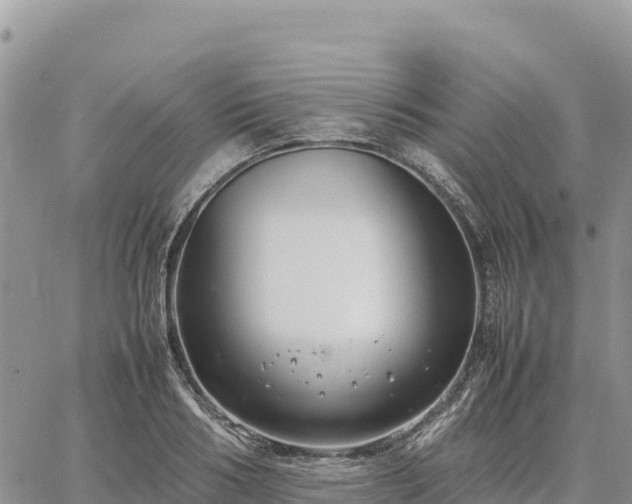 X0000064770986200602171820