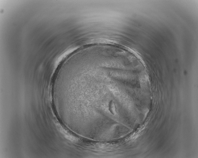 X0000064770987200602171820