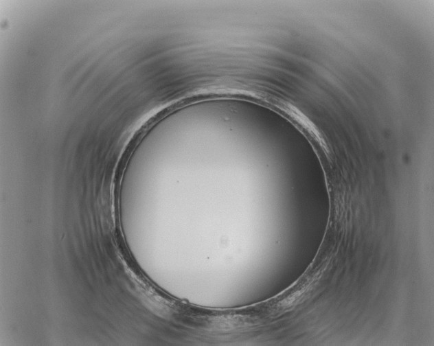 X0000064770988200602171820