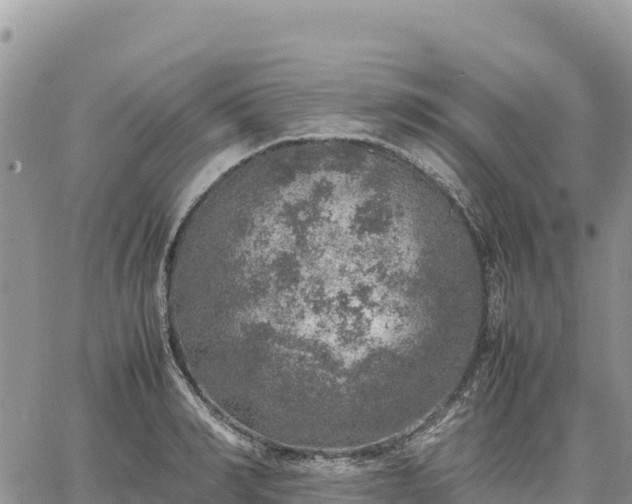 X0000064770990200602171820