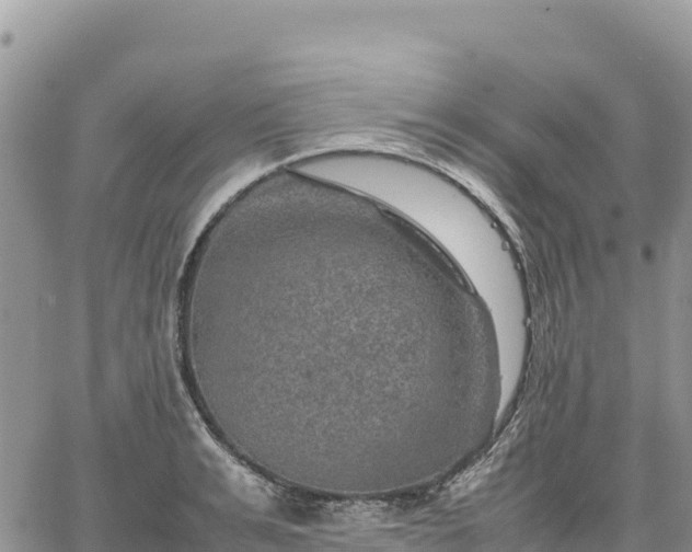 X0000064770991200602171820