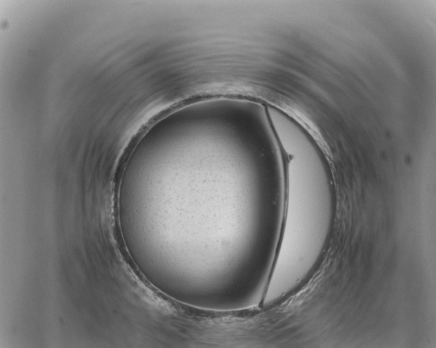 X0000064770992200602171820