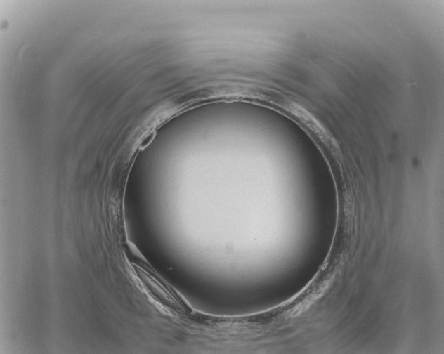 X0000064770993200602171820