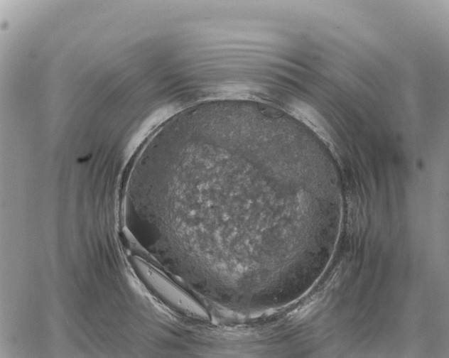 X0000064770994200602171820