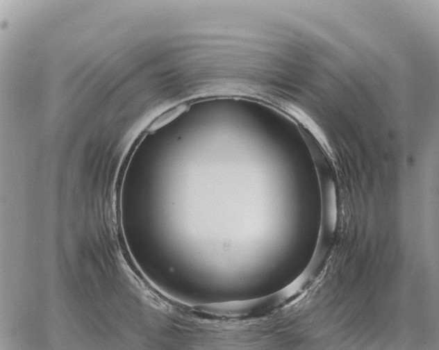 X0000064770996200602171820