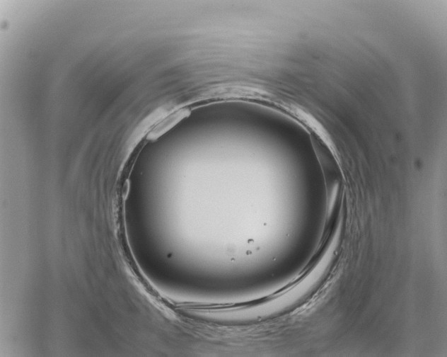 X0000064770997200602171820