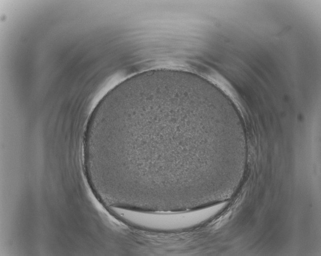 X0000064770999200602171820