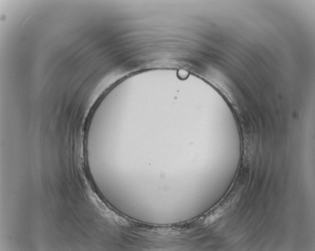 X0000064771000200602171820