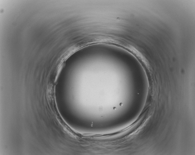 X0000064771001200602171820