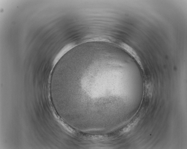 X0000064771002200602171820