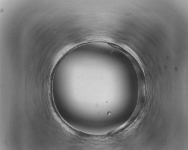 X0000064771005200602171820