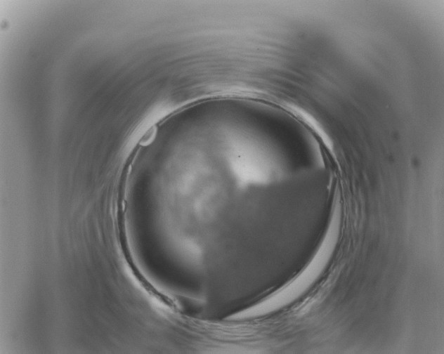 X0000064771007200602171820