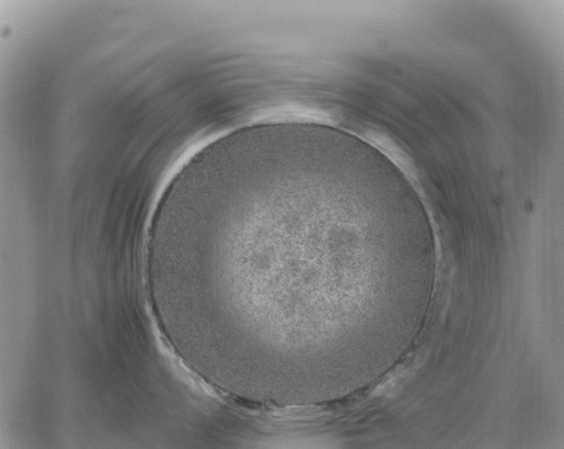 X0000064771008200602171820