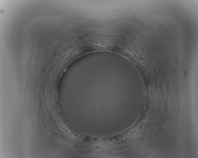 X0000064771009200602171819