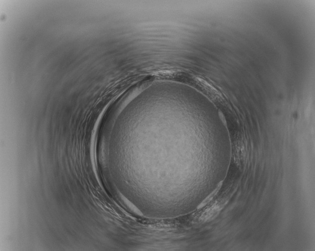 X0000064771010200602171819