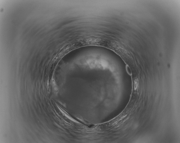 X0000064771011200602171819