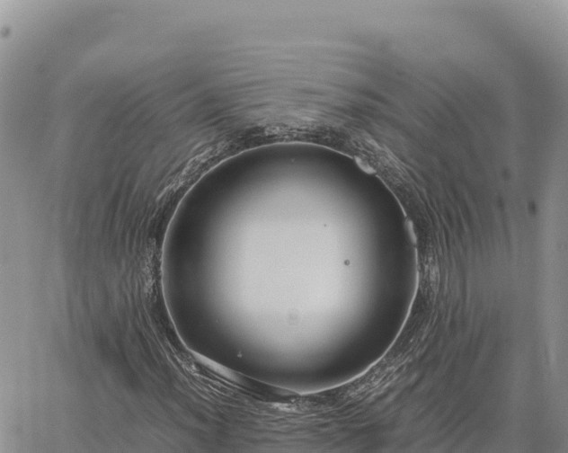 X0000064771012200602171819