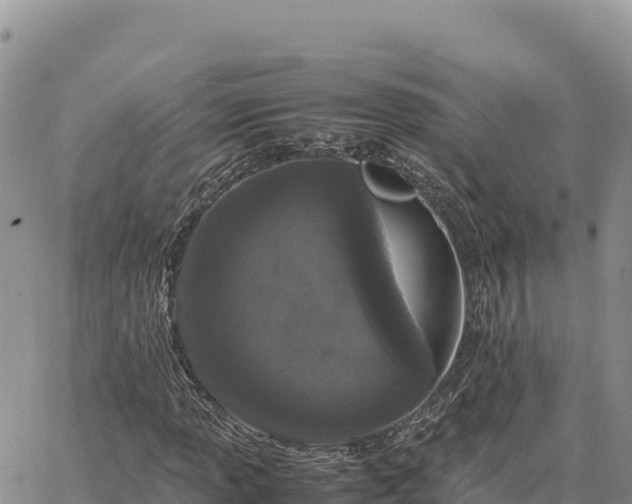 X0000064771013200602171819