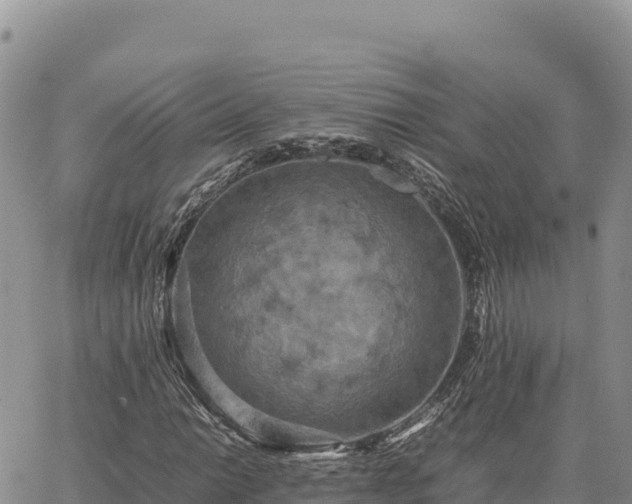 X0000064771014200602171819