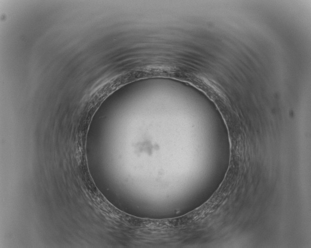 X0000064771015200602171819