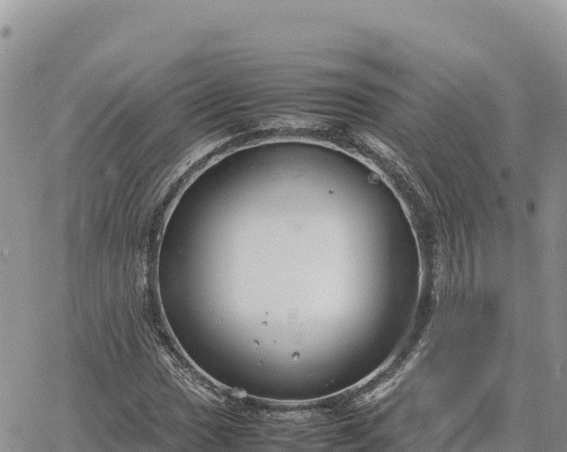 X0000064771017200602171819