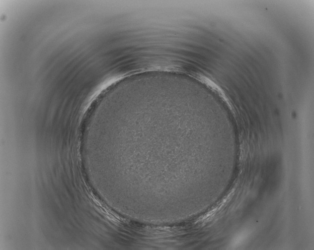 X0000064771019200602171819