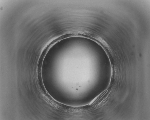 X0000064771020200602171819