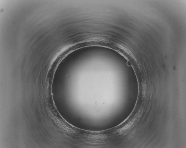 X0000064771021200602171819