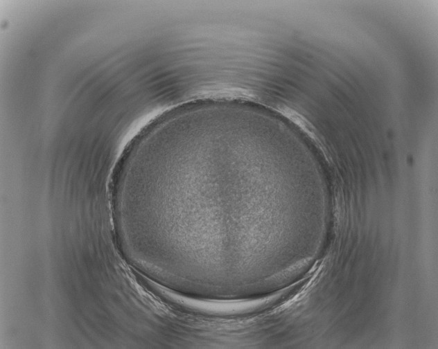 X0000064771022200602171819