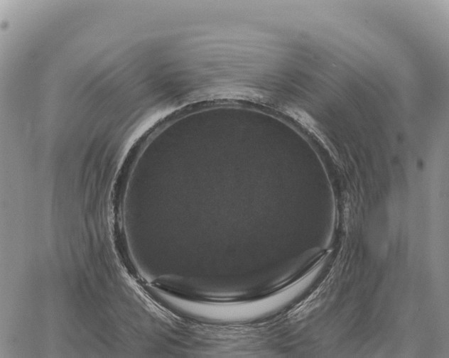 X0000064771024200602171819