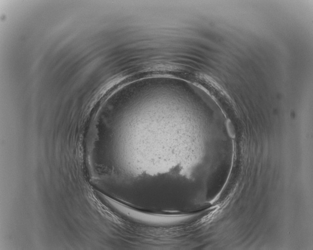 X0000064771025200602171819