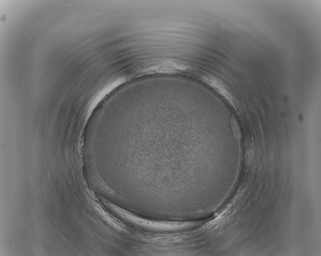 X0000064771026200602171819