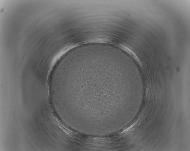 X0000064771027200602171819