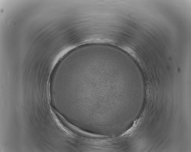 X0000064771030200602171819