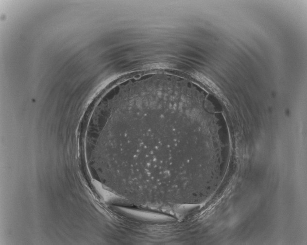 X0000064771031200602171819