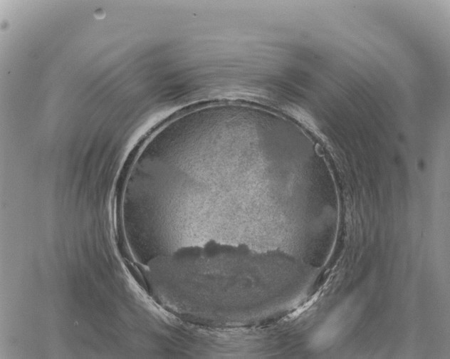 X0000064771032200602171819