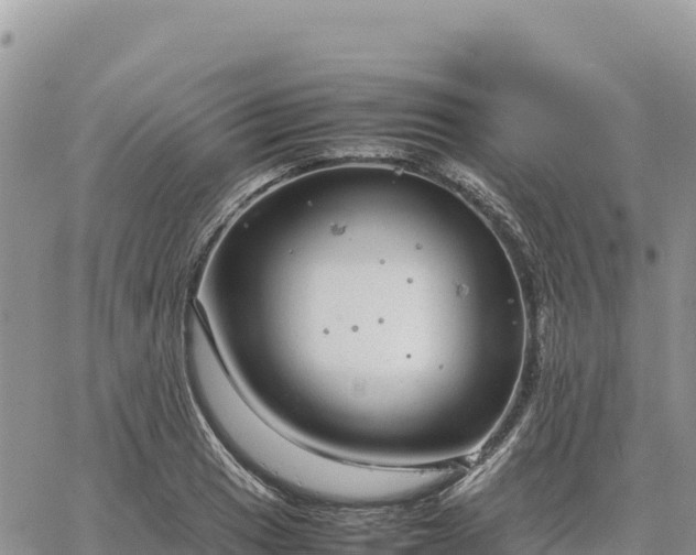 X0000064771033200602171819