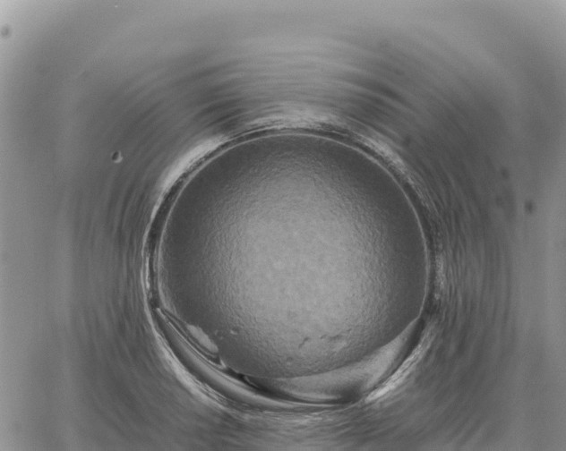 X0000064771034200602171819