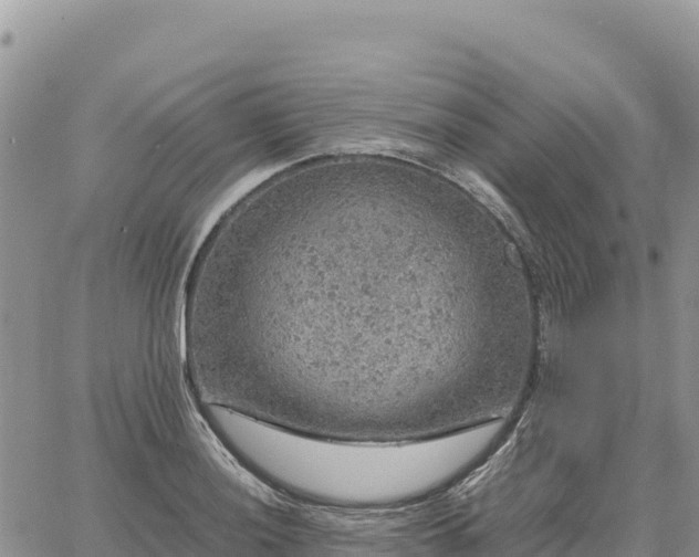 X0000064771036200602171819