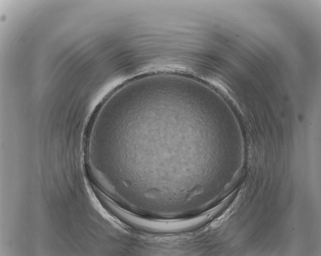 X0000064771038200602171819