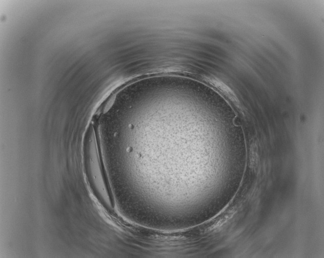 X0000064771039200602171819