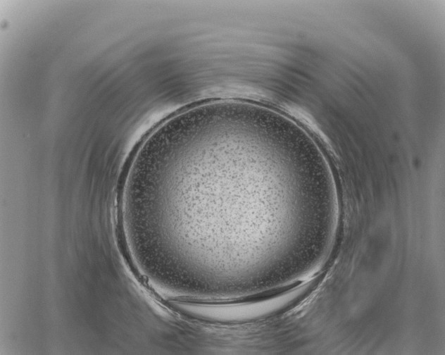 X0000064771040200602171819