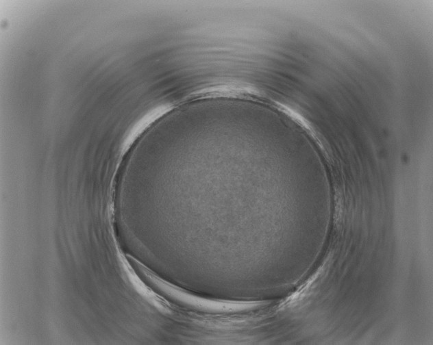 X0000064771042200602171819