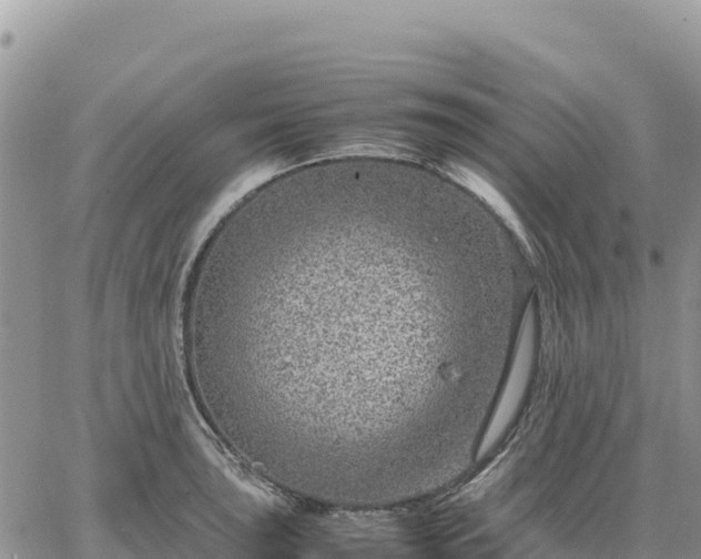 X0000064771043200602171819