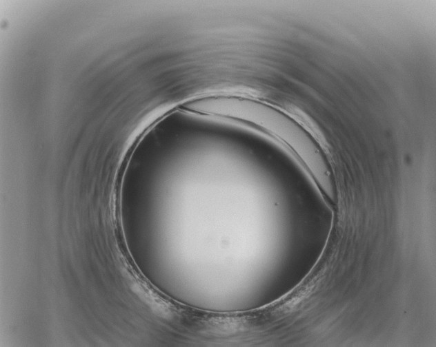 X0000064771044200602171819