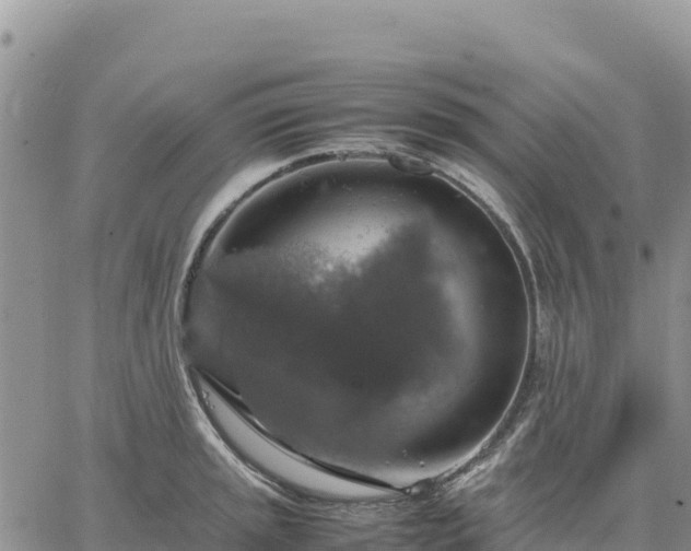 X0000064771045200602171819