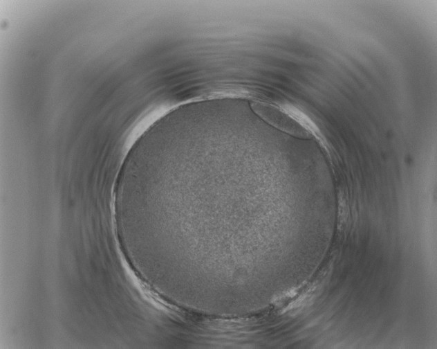 X0000064771047200602171819